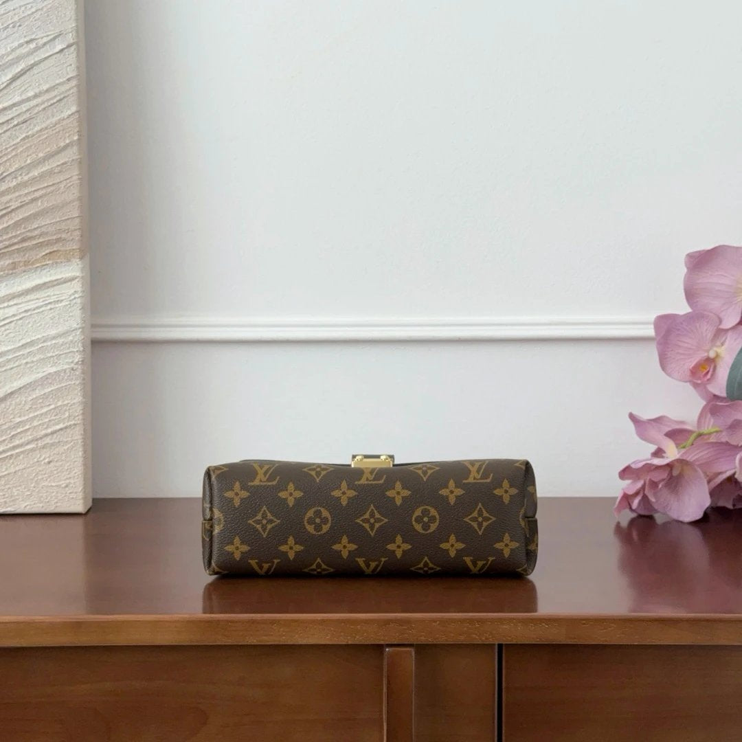 Sac Louis Vuitton