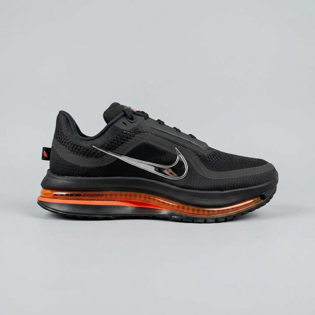 Nike pegasus prenium