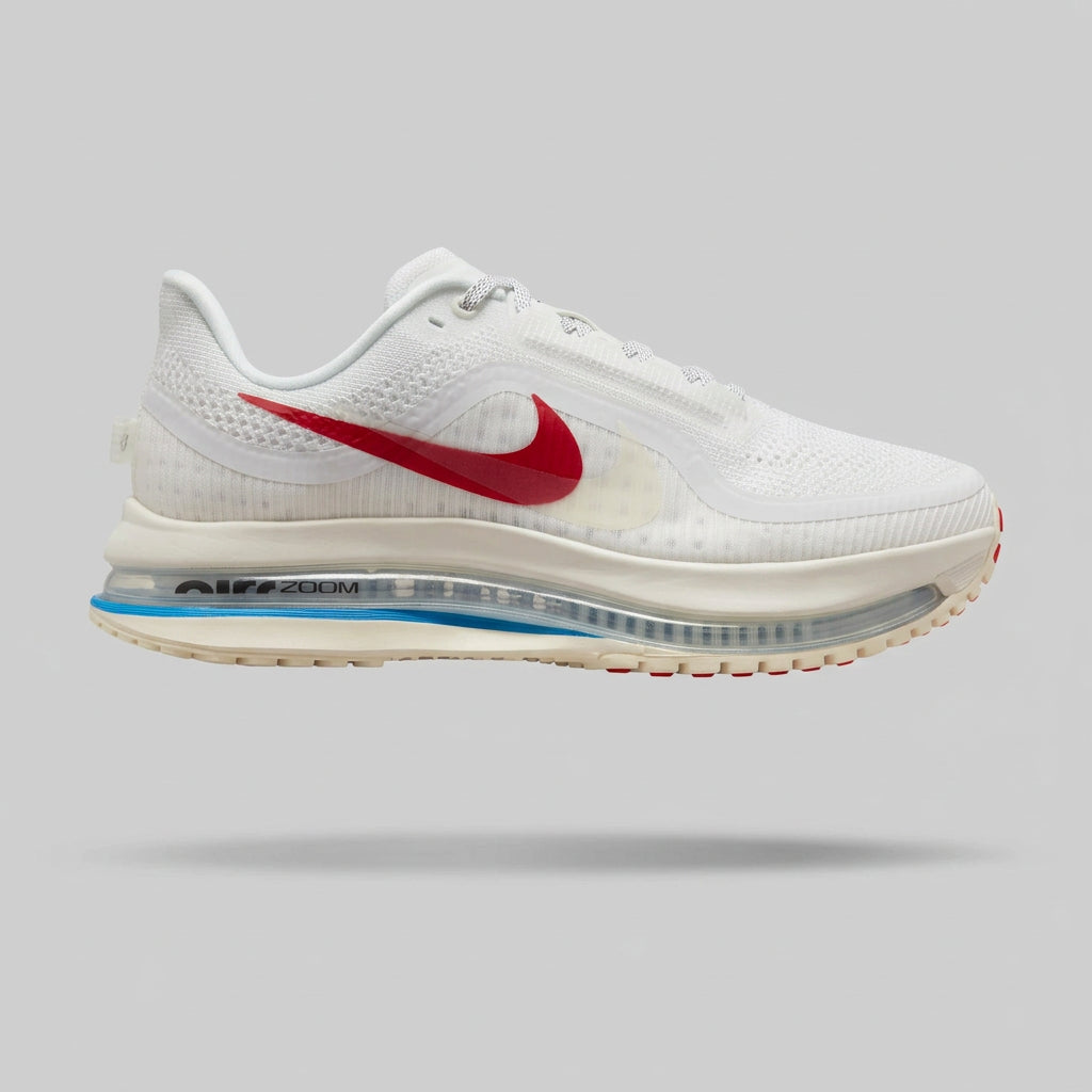Nike pegasus prenium