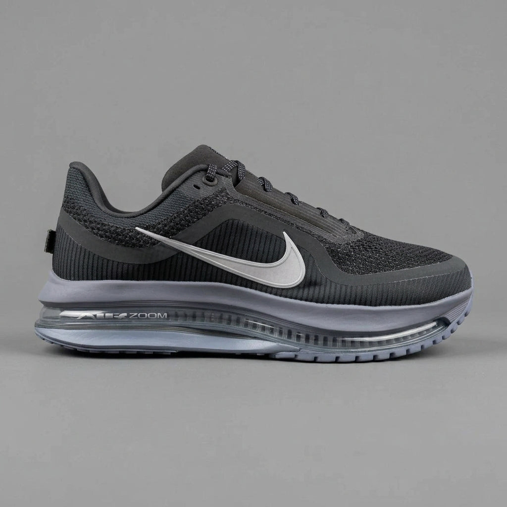 Nike pegasus prenium