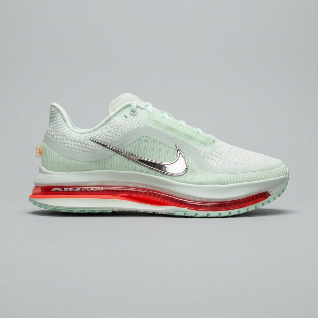 Nike pegasus prenium